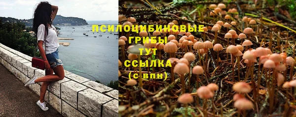 PSILOCYBIN Иннополис