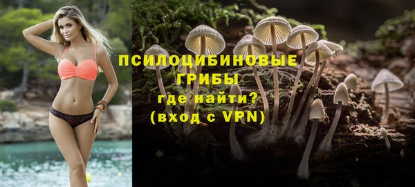 PSILOCYBIN Иннополис