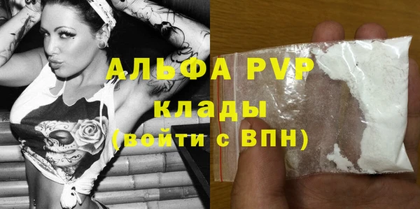 PSILOCYBIN Иннополис