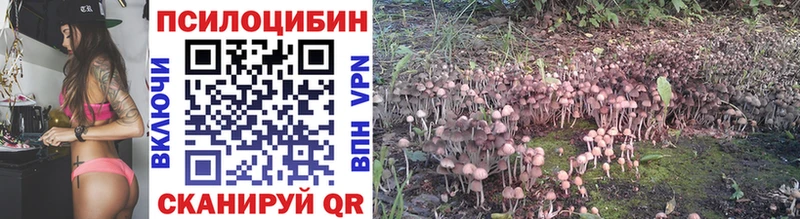Купить Асино Галлюциногенные грибы мицелий