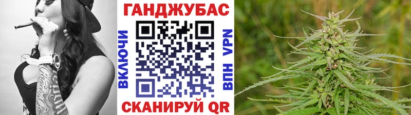 Купить где  Асино  Каннабис семена 
